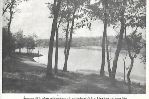 Árnyas fák alatt pihenhetnek a kirándulók a Vadása-tó partján